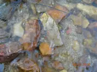 DSCN7904.webp