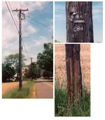 telephone pole number 8.webp telephone pole number 8.webp