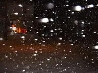 Picture 009.webp