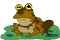 avatar_31292.webp