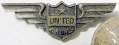 wings.webp