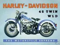 45 wld twin.webp