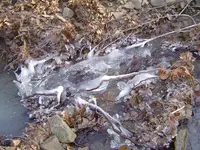 Nature\'s Ice Sculptures 001.webp