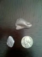 Durr_shiney_rocks_are_good.webp