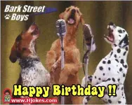 Happy%20Birthday%20!!.webp