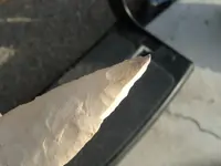 DSCN0447.webp