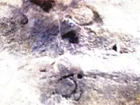02222009832.webp