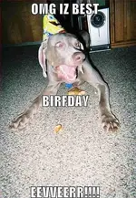 bday.webp
