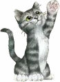 avatar_47751.webp