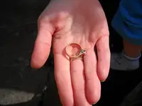 Ring 007.webp