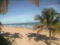 1261313344726.webp