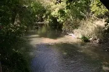 san_antonio_river_at_san_juan_tn.webp