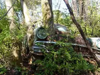 car1.webp