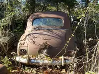 car3.webp
