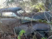 car4.webp