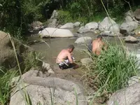 Day With Willie 031.webp