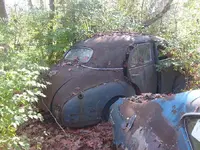 car7.webp