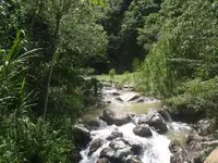 Day With Willie 026.webp