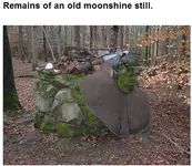 oldstill.webp