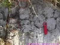 facerock.webp