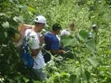 Day With Willie 019.webp