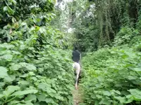 Horses_trail7.webp