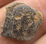 saxon 039.webp