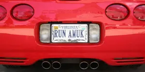 RUNAMUCK-Apolla.webp