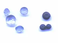 tincontents.webp