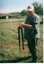 snake (WinCE).webp