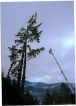 scan0001.webp