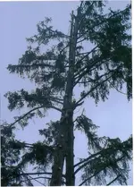 scan0002.webp