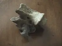 arrowheads (3).webp