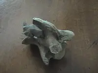 arrowheads (2).webp