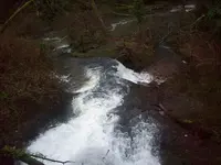 100_3194.webp