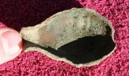 ShieldNickle 010.webp