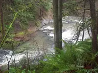 100_3198.webp