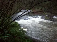 100_3199.webp