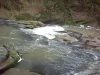 100_3200.webp