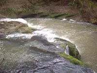 100_3202.webp