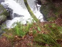 100_3203.webp