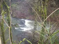100_3204.webp