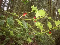 100_3206.webp