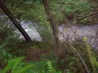 100_3208.webp