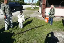 snake python check station 1-2-10.webp