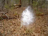 Two minutes from town 009.webp