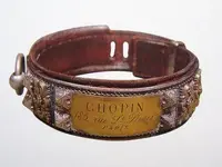 DogCollar.webp