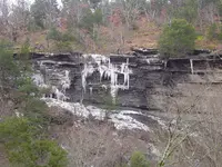 Nature pic\'s 010.webp