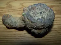 what are they relics 213.webp