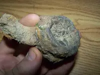 what are they relics 214.webp